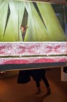Terni;Esposizione Steve McCurry Terni;Esposizione Steve McCurry
