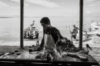 Mercato del pesce Mercato del pesce