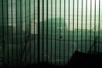 ... ...