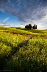Val D'Orcia - Tra cielo e terra Val D'Orcia - Tra cielo e terra