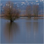 Les pieds dans l'eau