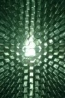 Plasma Plasma