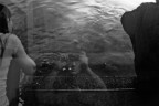 mellow waters mellow waters