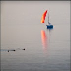 spi spi