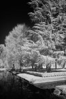 IR Park IR Park
