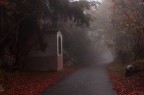 Cercando la via Cercando la via