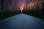 lungo il cammino a quell'ora della sera lungo il cammino a quell'ora della sera