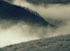 Questa immagine � parte di un percorso fotografico che ha per tema le atmosfere ambientali della mia montagna,l'Appennino Reggiano.
Grazie a tutti per la gentile attenzione.