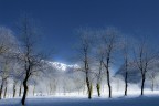 la luce d'inverno