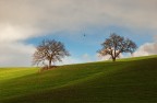 Toscana Toscana