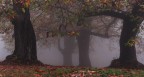 Sipario d'Autunno Sipario d'Autunno