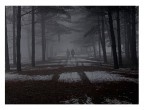 in due nella nebbia in due nella nebbia