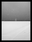 solitario solitario