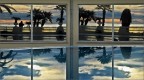 Riflessi al tramonto Riflessi al tramonto