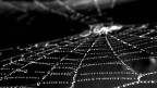 Spider vision Spider vision