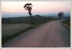 2 alberi e poco più... 2 alberi e poco più...
