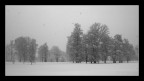 semplicemente inverno semplicemente inverno