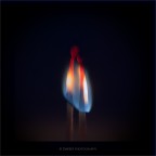 face to face, burning of desire