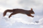 Jump Jump