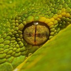 Anche l'occhio vuole la sua parte