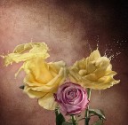 Doppio splash(ludica divagazione#2)