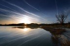 scie scie