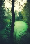 Canale verde Canale verde