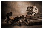 Vanitas Vanitas