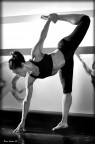 gym 2 gym 2