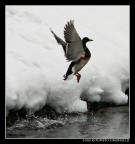 caspita...che freddo !!!!!