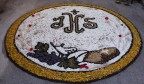 Infiorata Infiorata