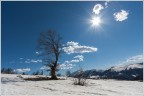 Sferzati dal vento, baciati dal sole. Sferzati dal vento, baciati dal sole.