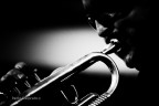 Musicanti Musicanti