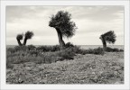 Salento 04/2014 Salento 04/2014
