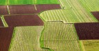 Campagne Campagne