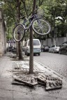 Bike tree Bike tree