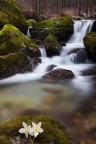 Small waterfall Small waterfall