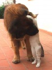 Confidenze... Confidenze...