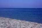 Il dipinto Il dipinto