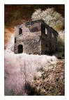 The house of the damned #2 The house of the damned #2