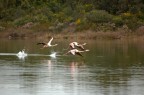 in volo... in volo...
