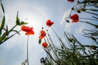 Verso il sole... Verso il sole...