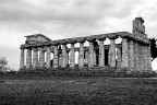 Paestum Tour Paestum Tour