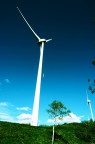 Energie Energie