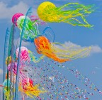 Nikon D7000 + 55-200 VR
55 mm - 1/640 - f5.6 - iso 100 (auto)