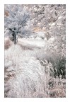 in campagna in campagna