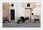 Lecce Lecce