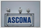 Ascona Ascona