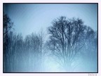 nebbia nebbia