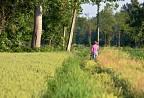Verso il Bosco Verso il Bosco